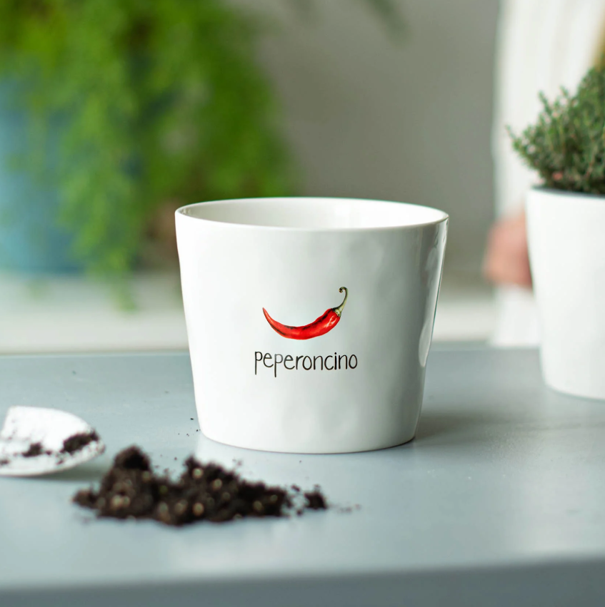 Simple Day Vaso Peperoncino con sottovaso
